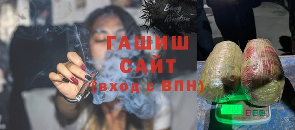 индика Абаза
