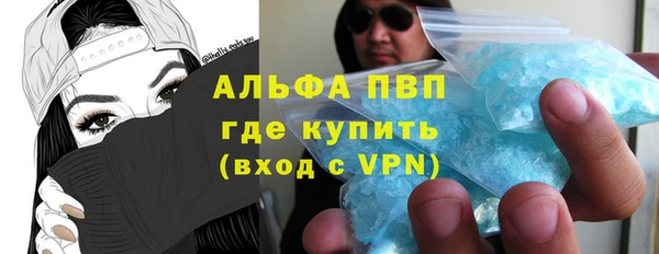 индика Абаза