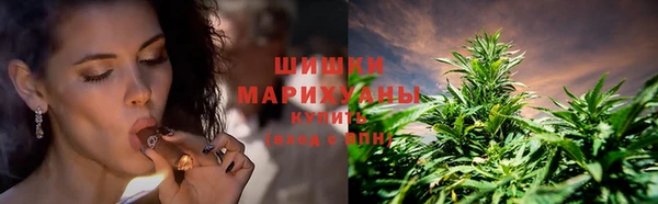 индика Абаза