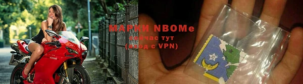 сатива Абинск
