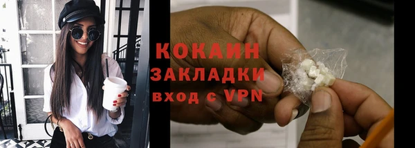 индика Абаза
