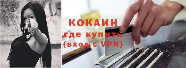 индика Абаза