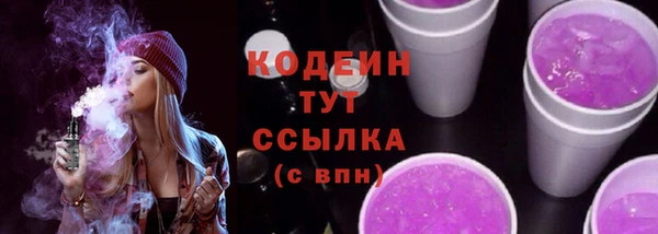 индика Абаза