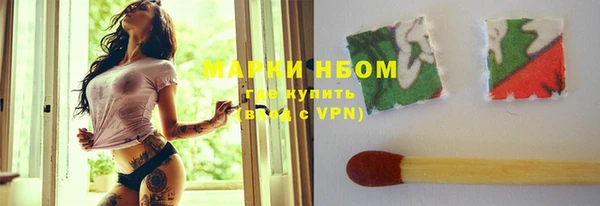 сатива Абинск