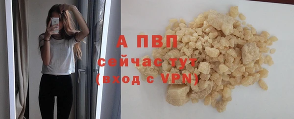 сатива Абинск
