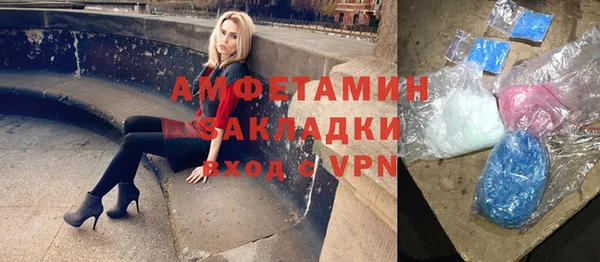 индика Абаза