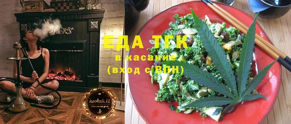 индика Абаза