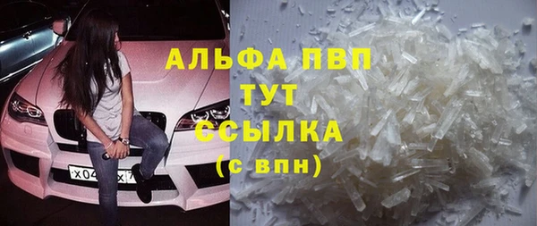 сатива Абинск
