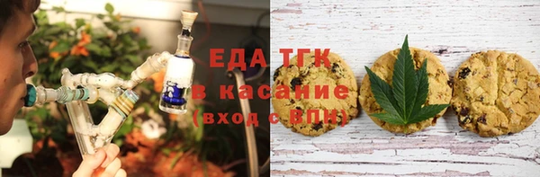индика Абаза