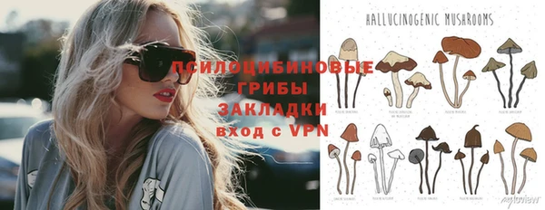 гидра Видное