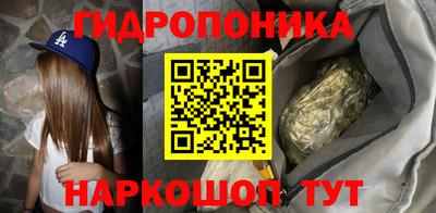 прущие крисы Шахты