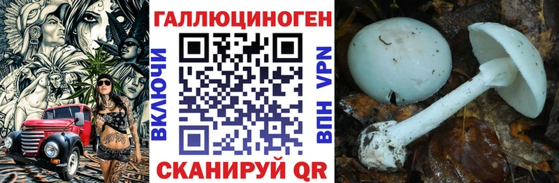 Галлюциногенные грибы Psilocybine cubensis  наркотики  ссылка на мегу ТОР  Раменское 