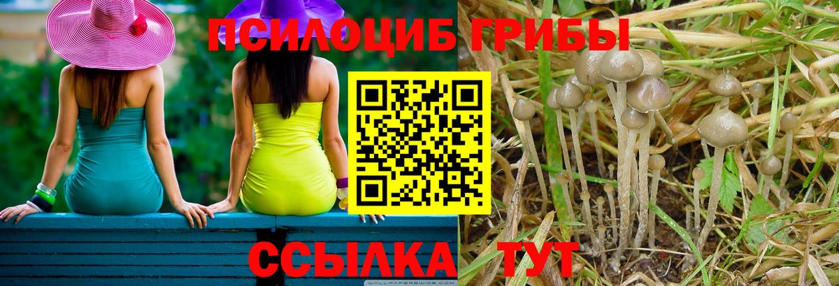 Псилоцибиновые грибы Psilocybe  Галлюциногенные грибы Psilocybe  Вход с VPN  Раменское 